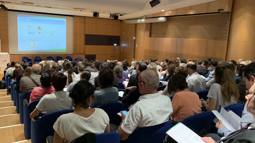 Une session en auditorium devant les participants