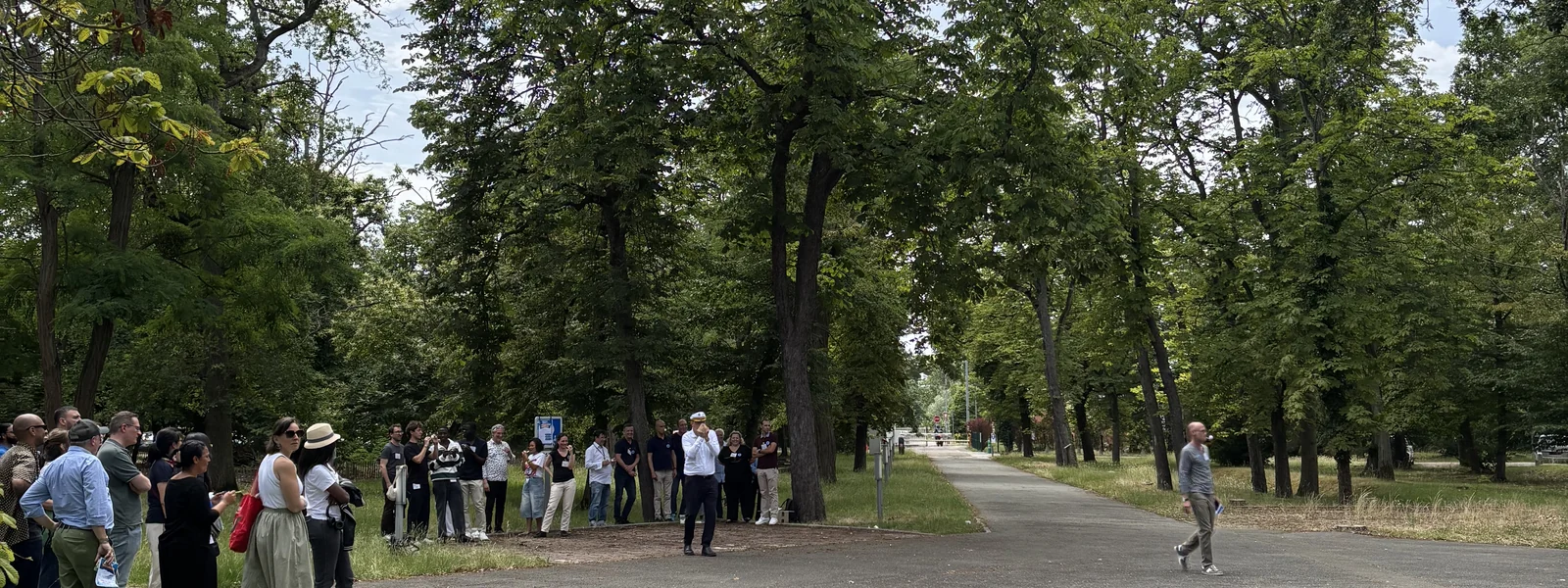 Une activit&eacute; de coh&eacute;sion en ext&eacute;rieur, sous les arbres